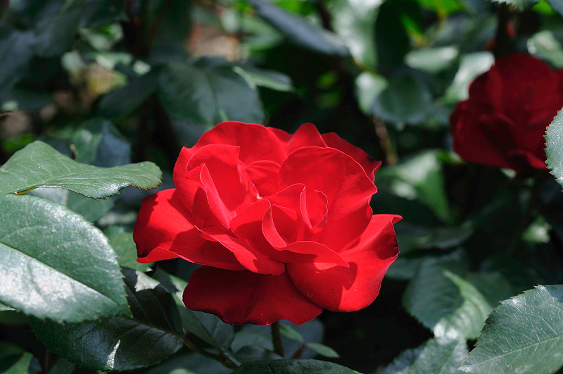 image0213