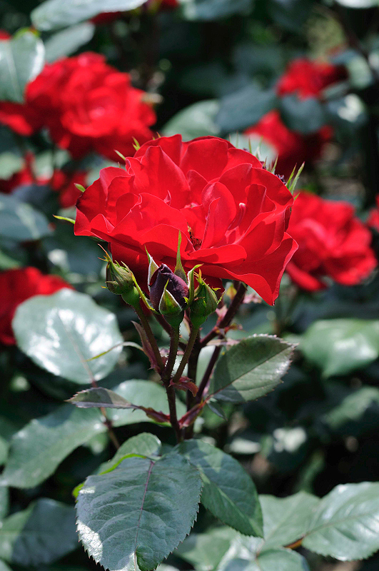 image0214