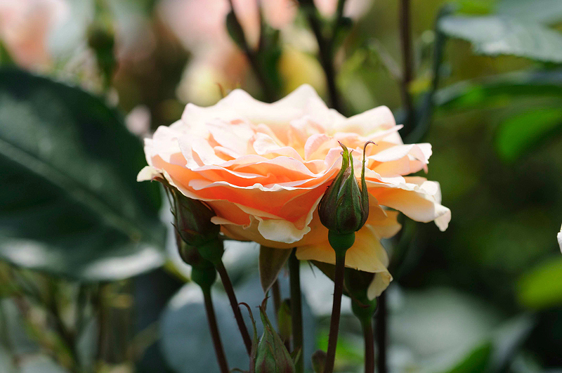 image0218
