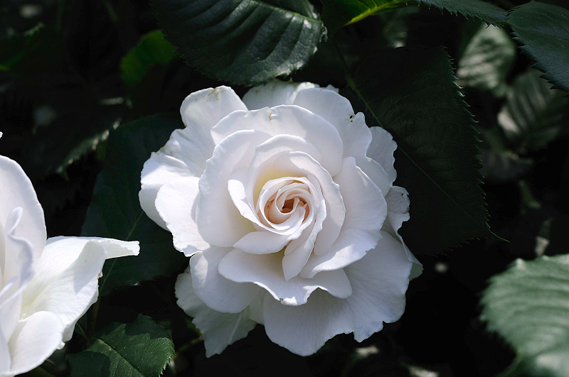 image0222