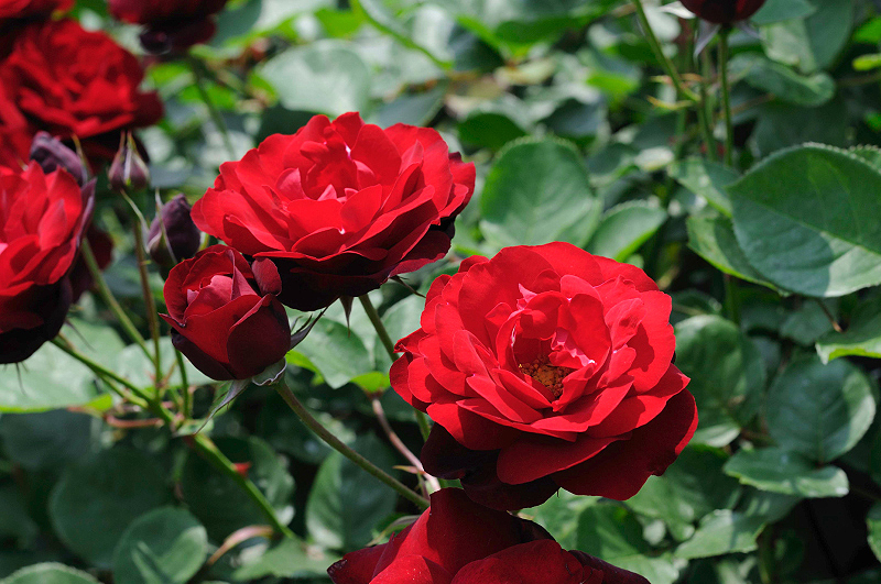 image0235
