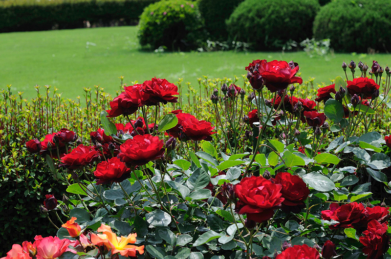 image0244