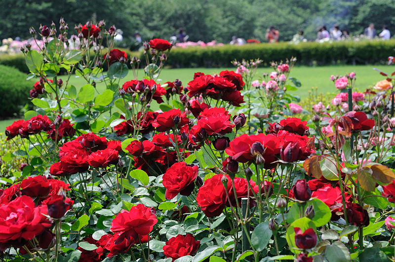 image0246