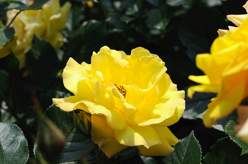 image0255