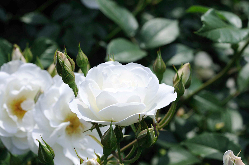 image0258