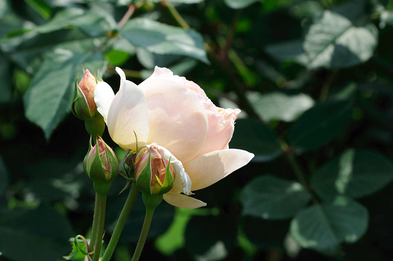 image0269