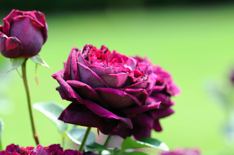 image0272