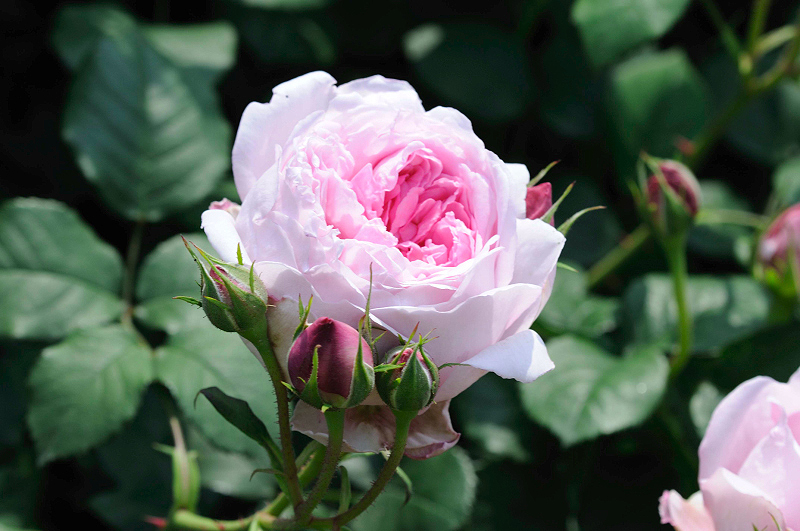 image0277