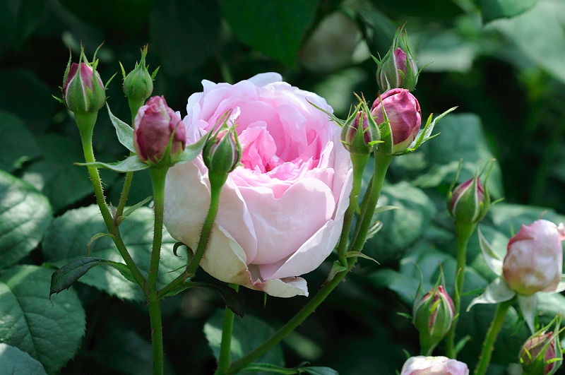 image0279