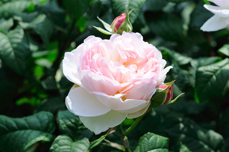 image0280