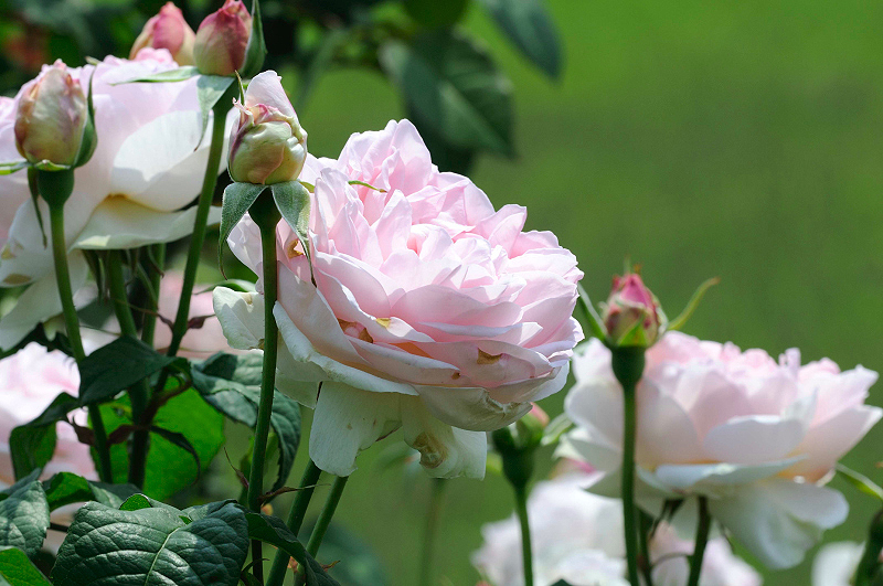 image0281