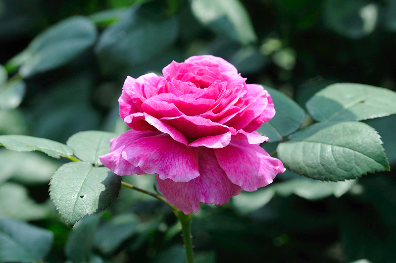 image0283