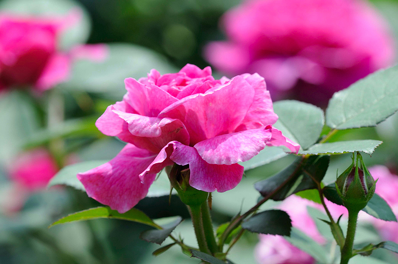 image0285