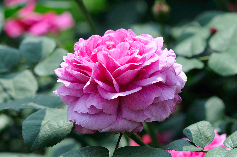 image0287