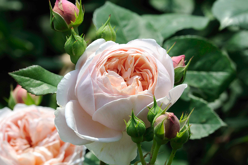 image0289