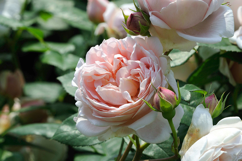 image0291