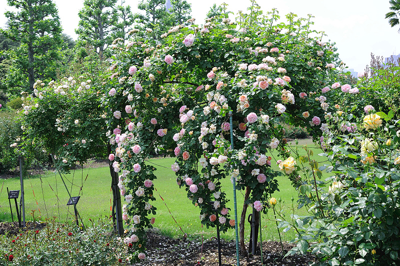 image0298