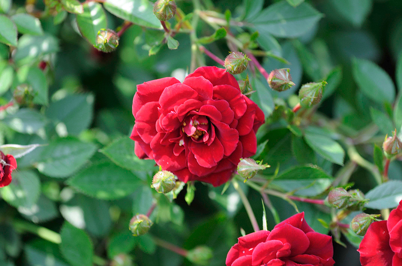 image0302