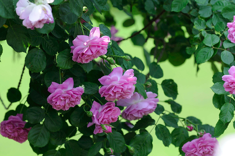 image0306