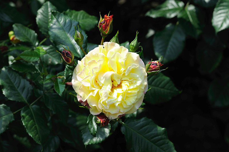image0308