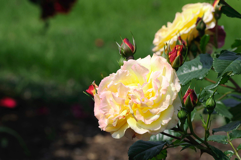 image0310