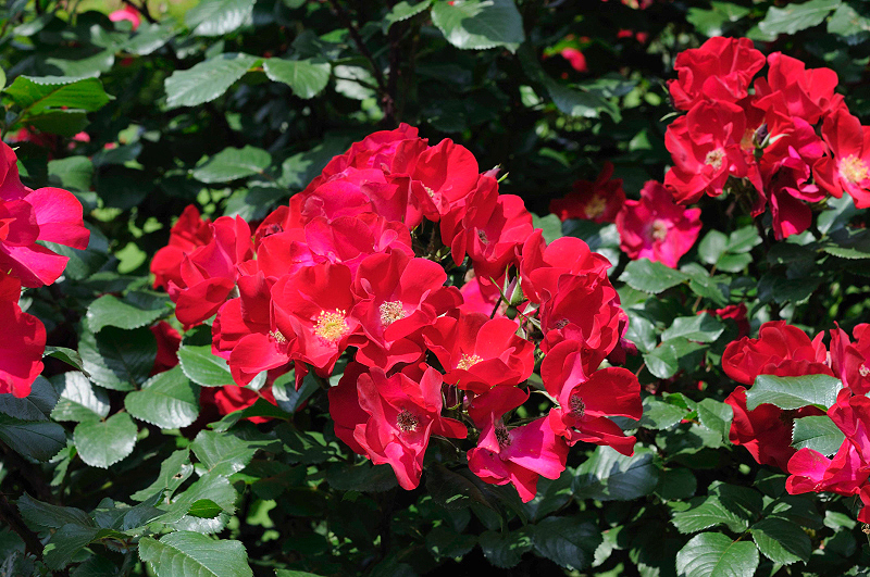 image0311