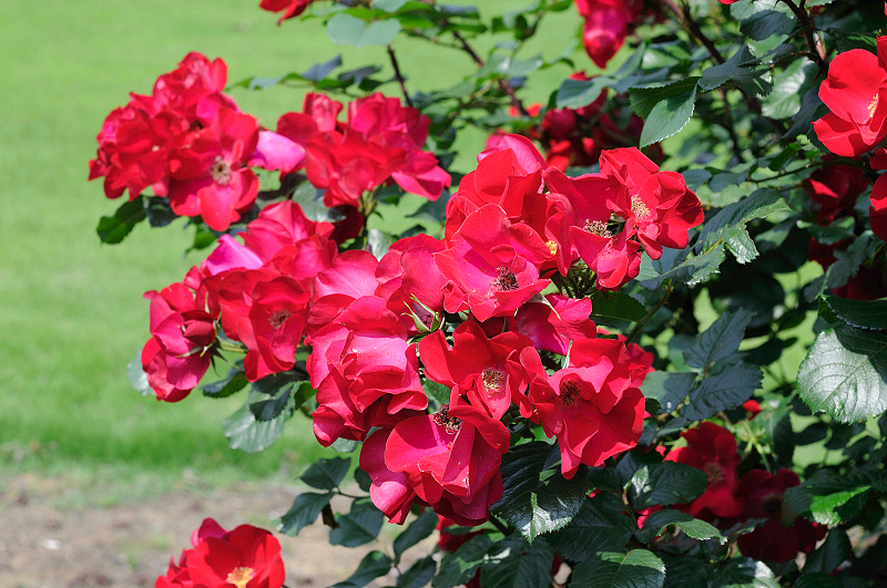 image0313