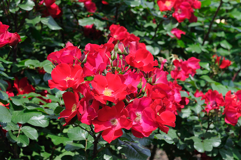image0314