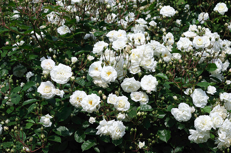 image0317