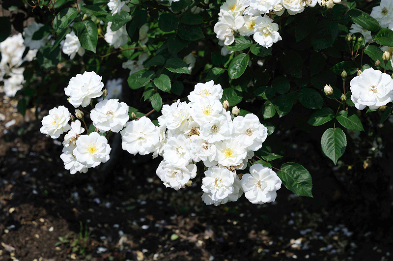 image0318