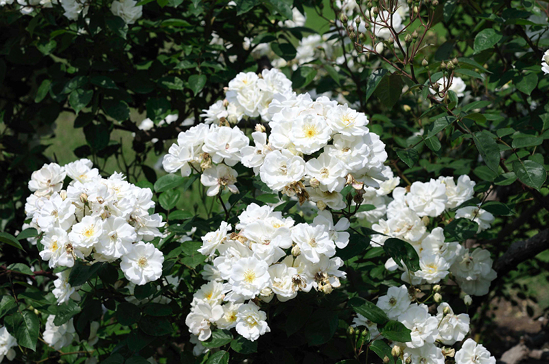 image0319