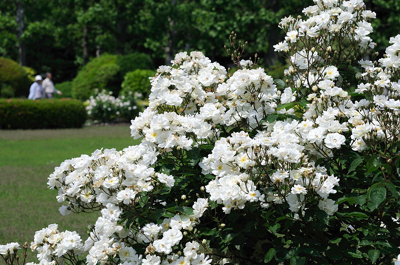 image0320