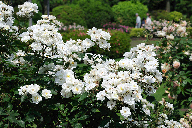image0321
