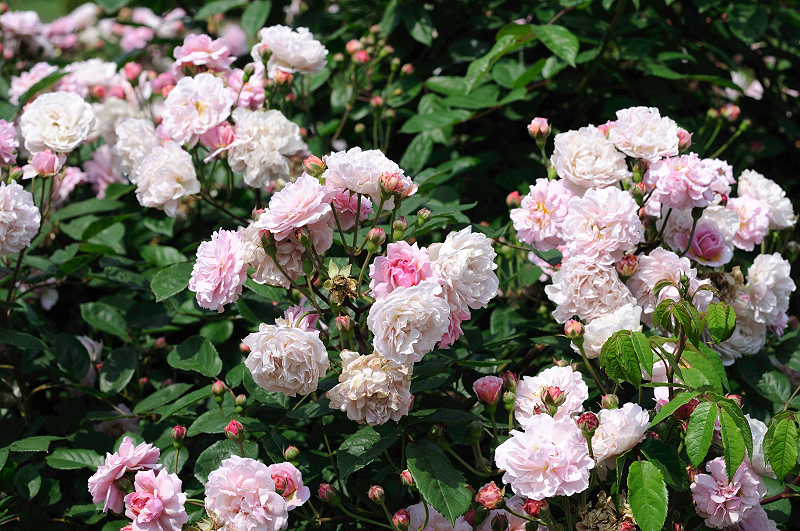 image0322