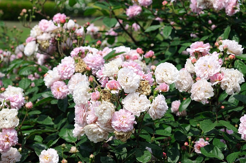 image0323