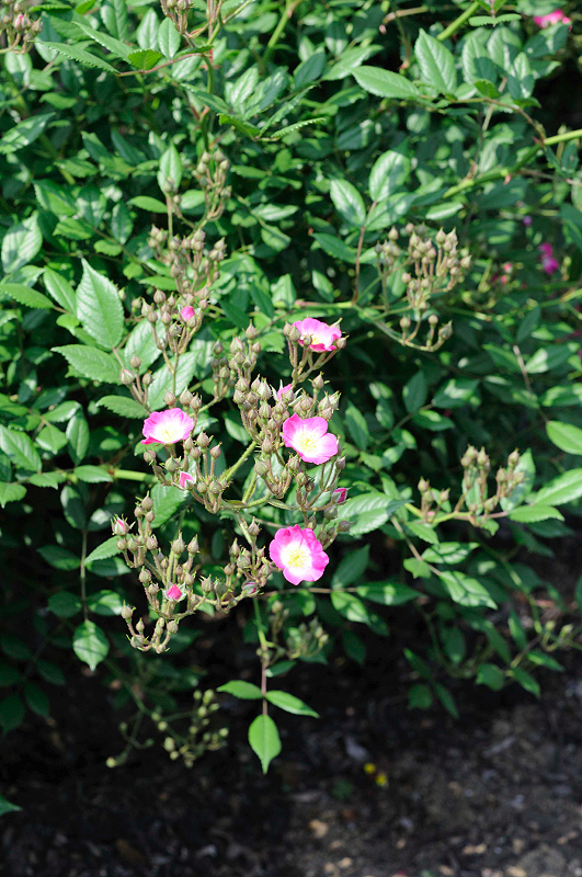 image0324