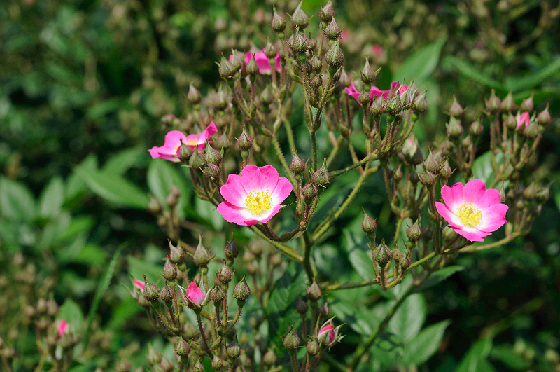 image0325