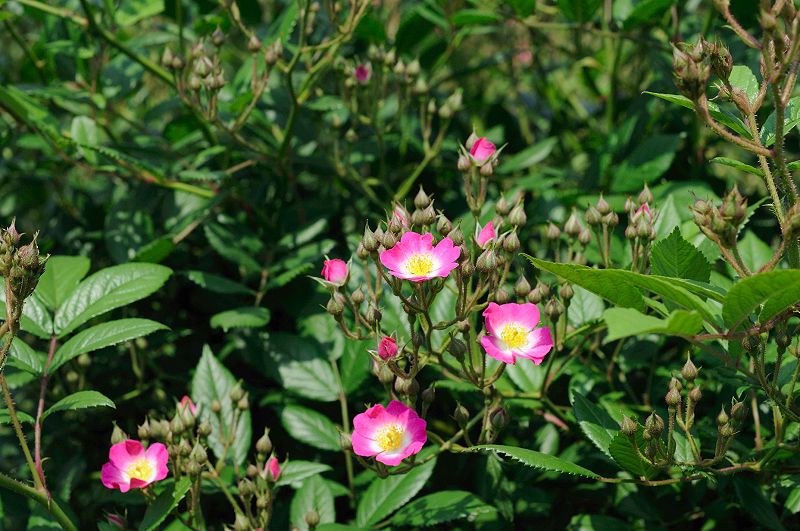 image0326