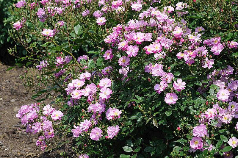 image0330
