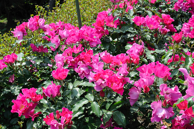 image0331