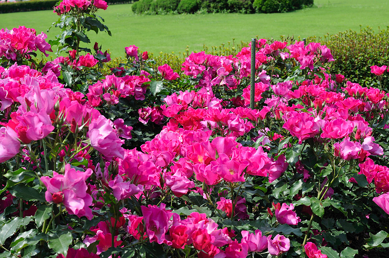 image0334