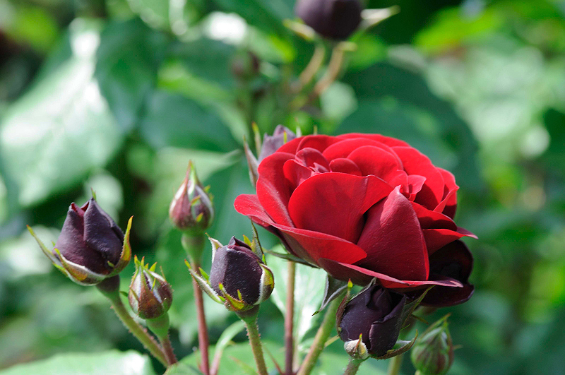 image0341