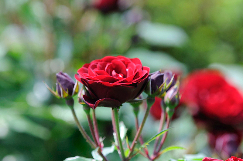 image0347