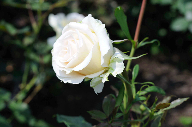 image0351