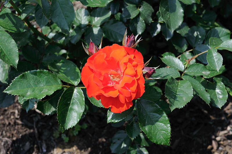 image0360