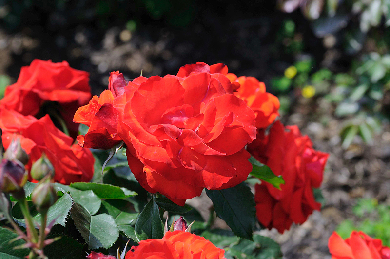 image0364