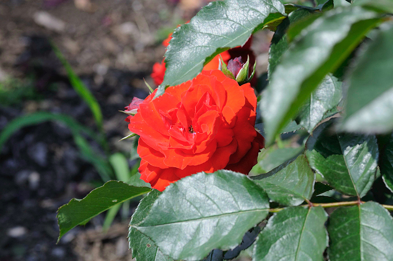 image0368