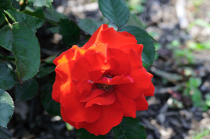 image0370