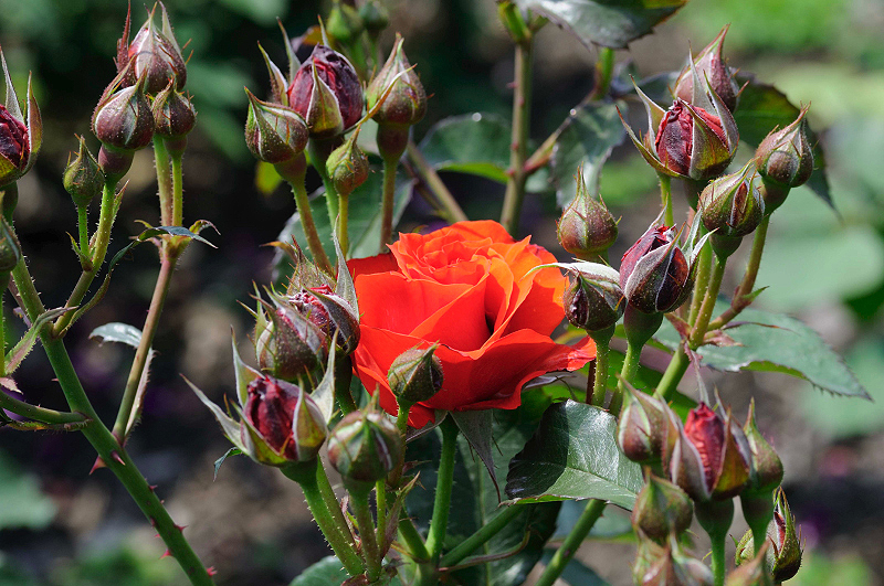 image0371
