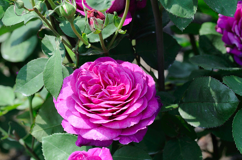 image0372